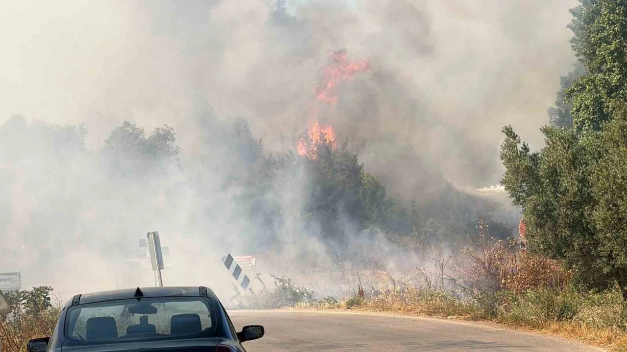 İznik&rsquo;te korkutan yangın
