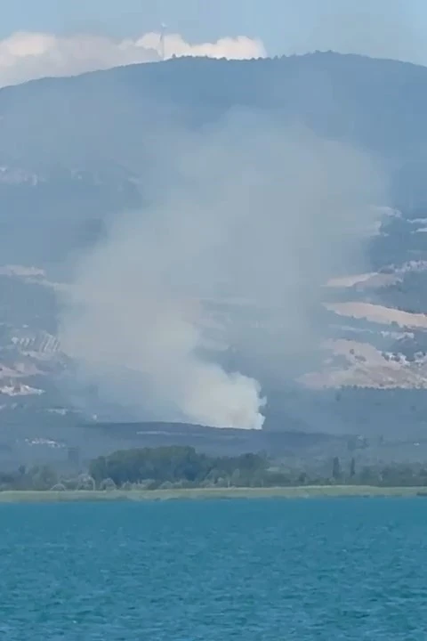 İznik’te orman yangını
