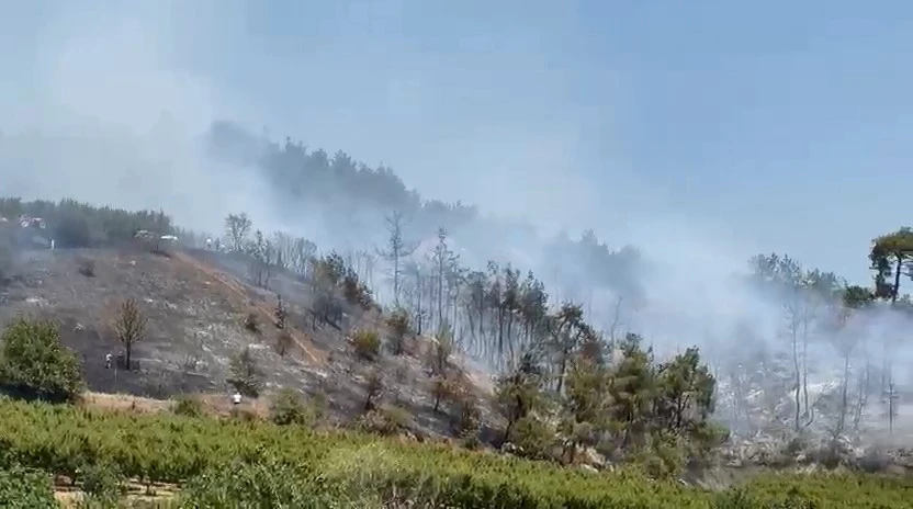 İznik’te orman yangını kontrol altına alındı
