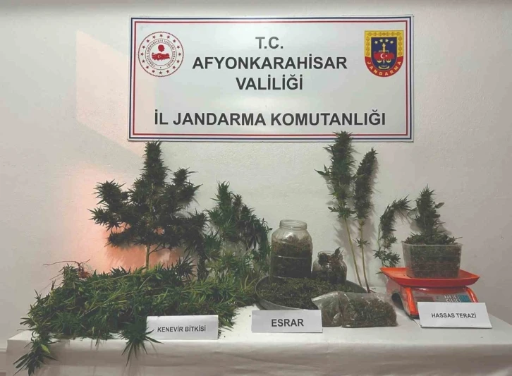 Jandarma 2 kilogram esrar ve kenevir ele ge&ccedil;irdi
