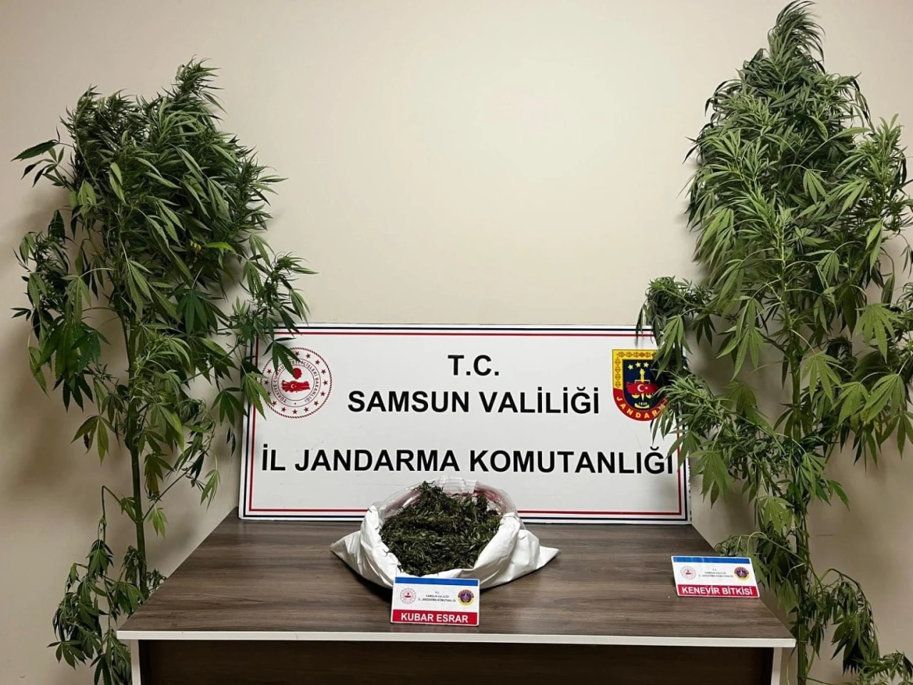 Jandarma 3 kilo 237 gram esrar ele geçirdi
