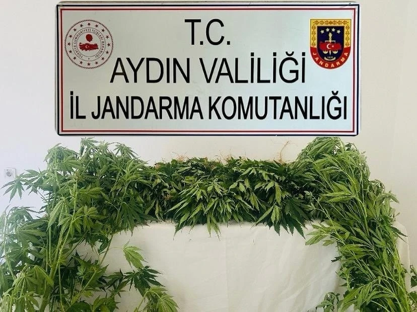 Jandarma ekipleri uyuşturucuya geçit vermedi
