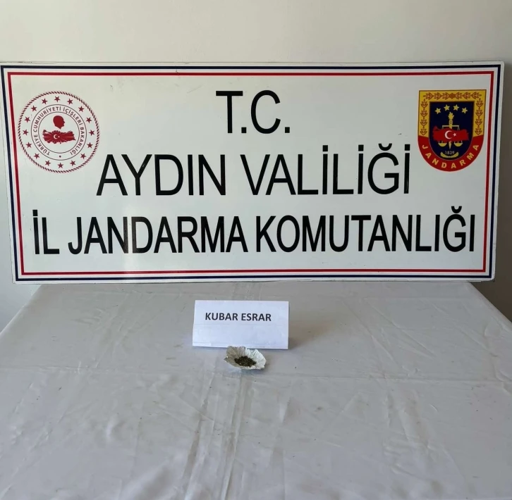 Jandarma uyuşturucuya geçit vermedi: 9 gözaltı
