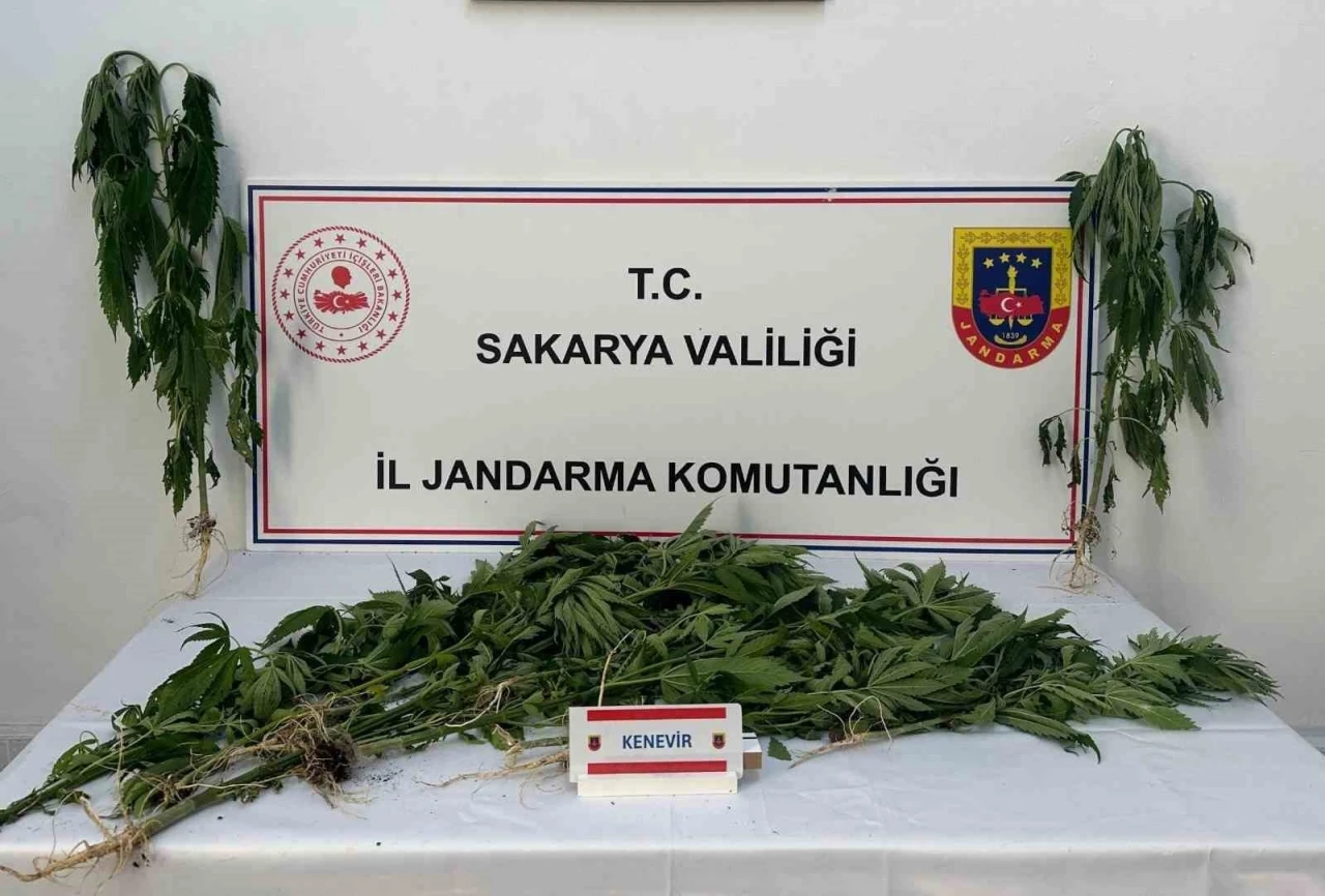 Jandarma uyuşturucuya geçit vermiyor: 3 tutuklama

