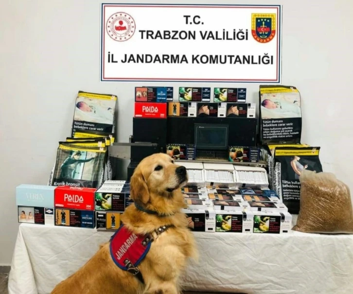 Jandarma ve emniyetten ka&ccedil;ak sigara imalathanesine baskın
