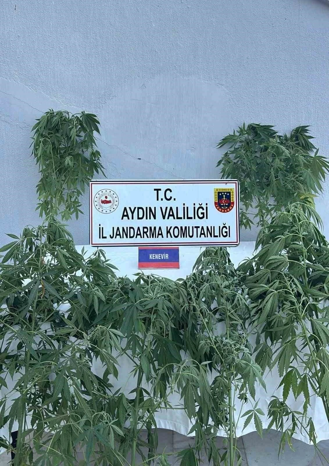 Jandarmada uyuşturucu operasyonu: 16 gözaltı
