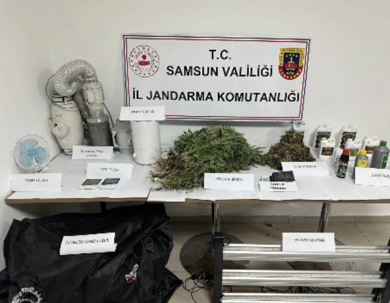 Jandarmadan evde kenevir operasyonu

