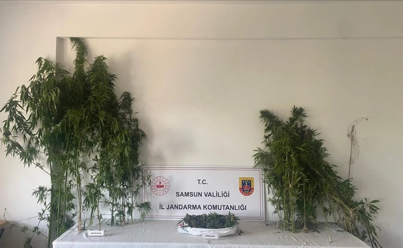 Jandarmadan iki ayrı uyuşturucu operasyonu: 3 gözaltı
