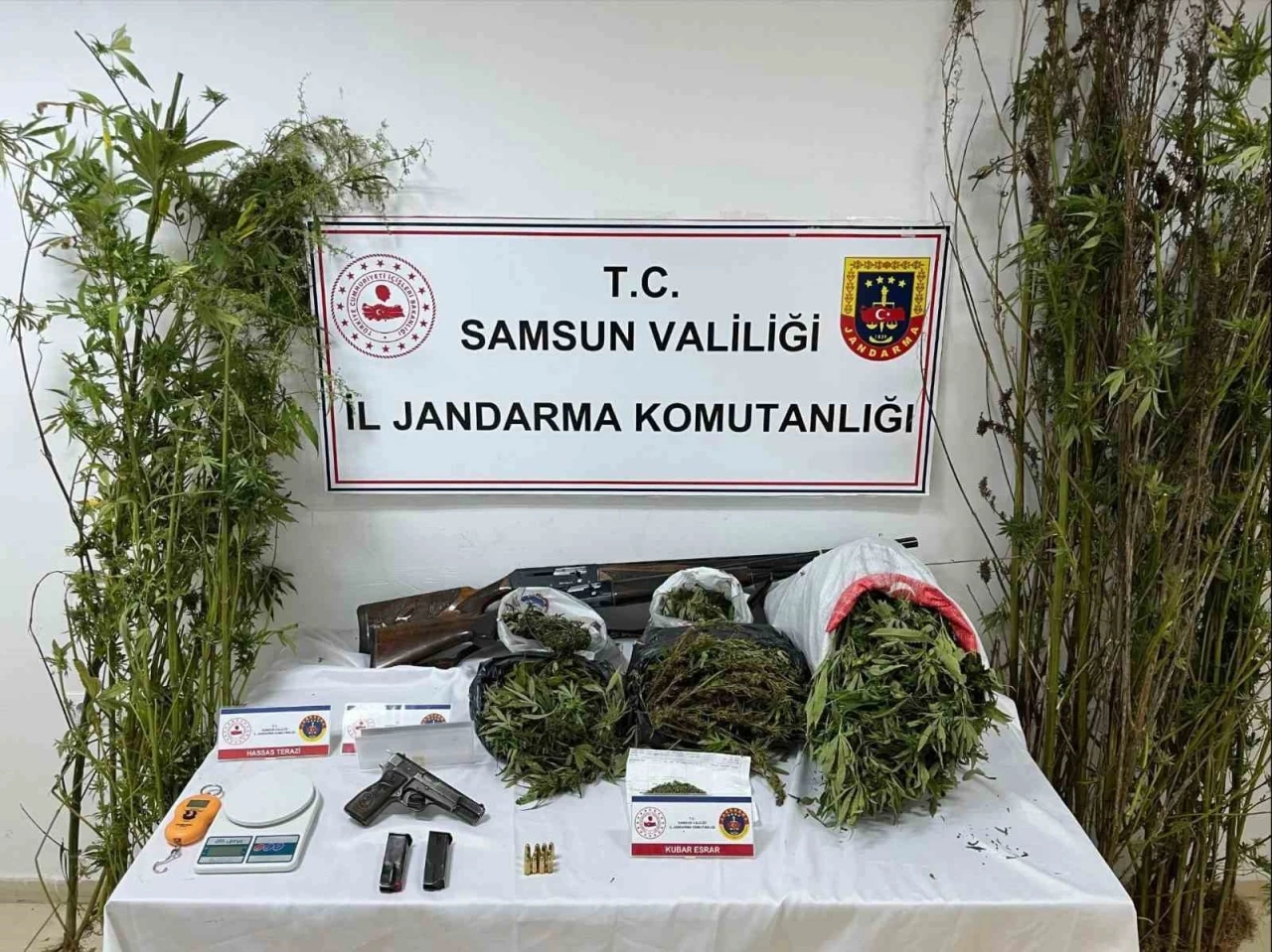 Jandarmadan uyuşturucu operasyonu: Esrar, kenevir ve silah ele geçirildi
