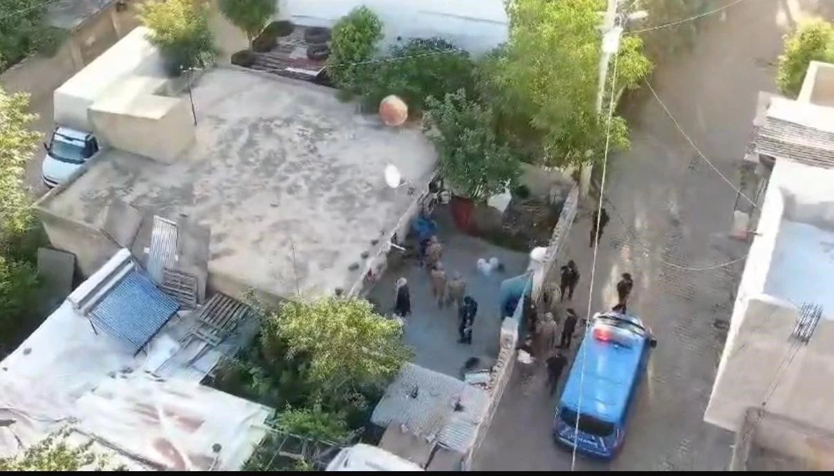 Jandarmanın &quot;Daltonlar&quot; çetesi operasyonunda 3 tutuklama
