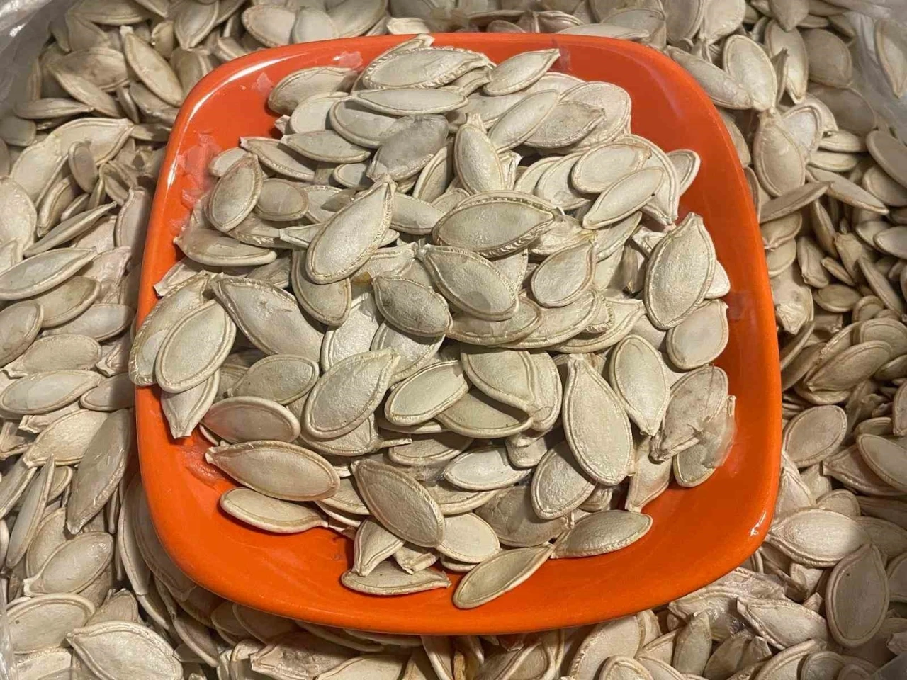 Kabak çekirdeğine &quot;Salmonella&quot;, zencefile &quot;Bacillus cereus&quot; nasıl bulaşıyor
