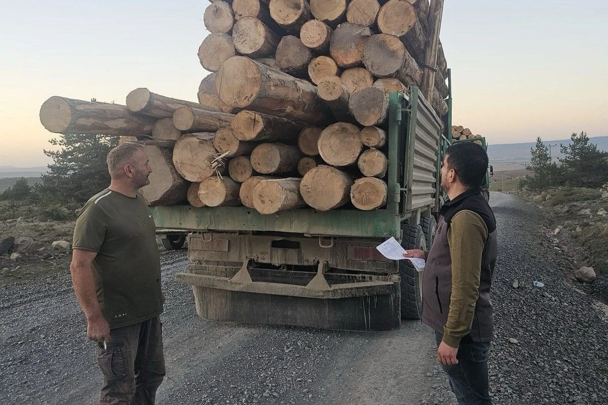 Kaçak ağaç kıyımına ağır ceza
