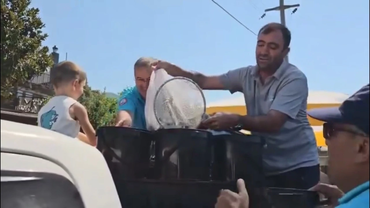 AKYAKA KADIN AZMAĞI'NA 35 BİN LEVREK BIRAKILDI