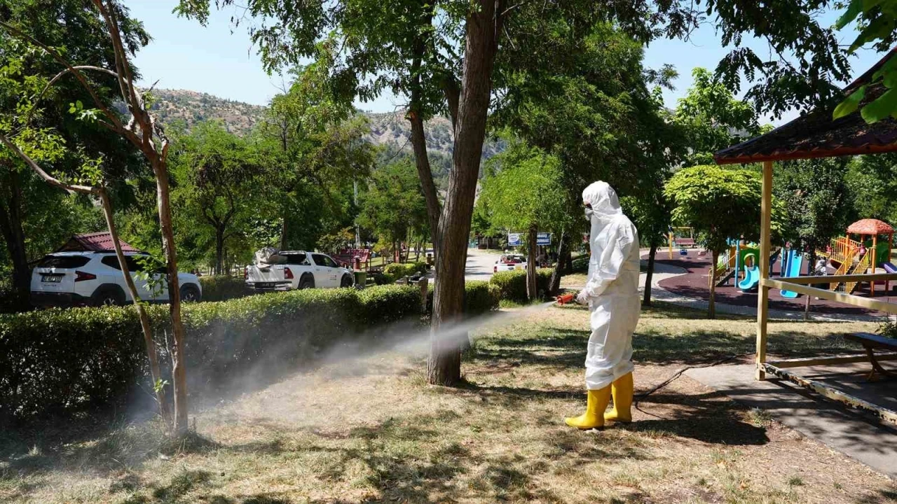 Kahramanmaraş kene tehdidine karşı ekipler sahada
