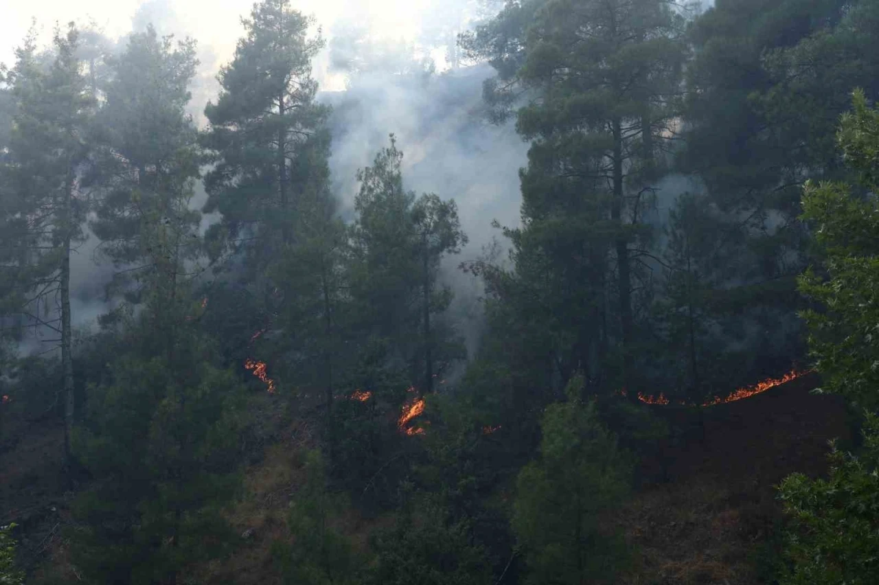 Kahramanmaraş’ta orman yangını
