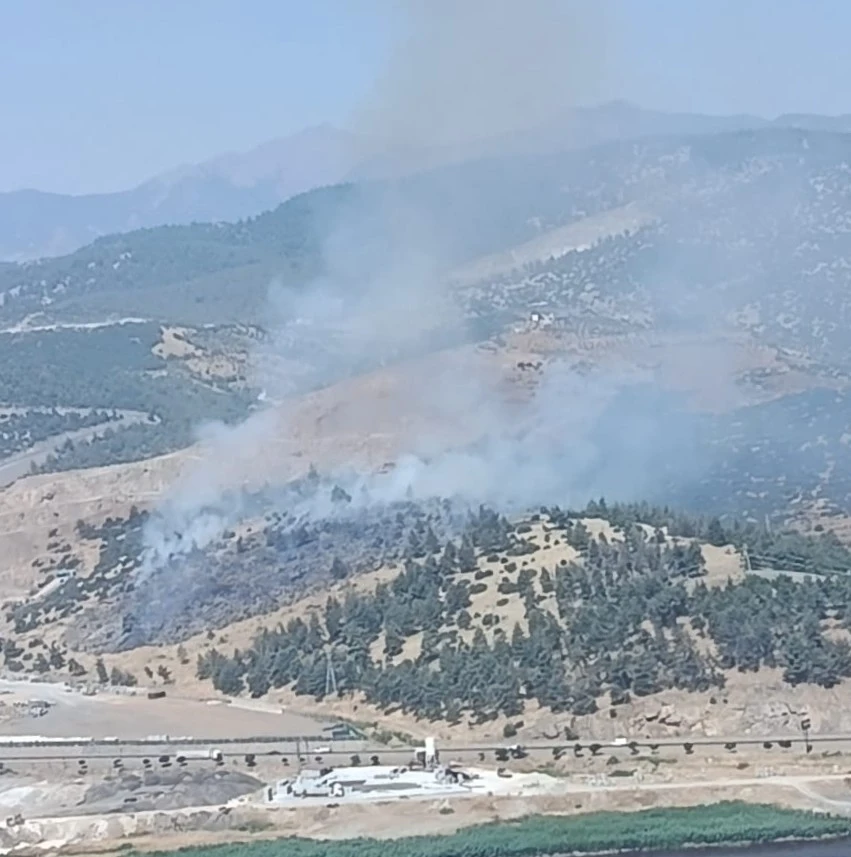Kahramanmaraş&rsquo;ta orman yangını
