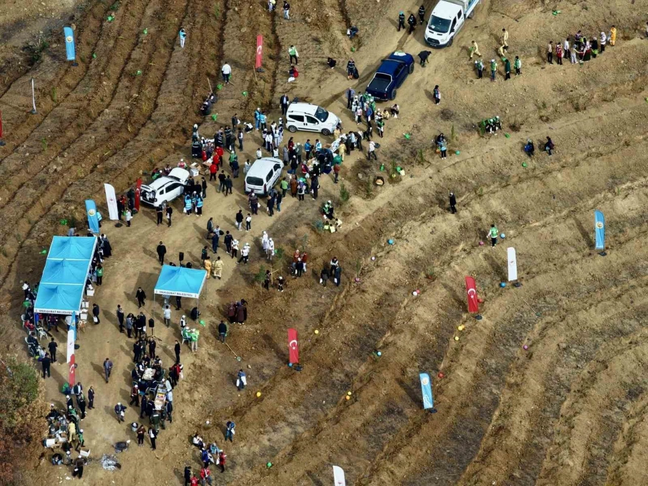 Kahramanmaraş’ta yanan alanlara fidanlar dikildi
