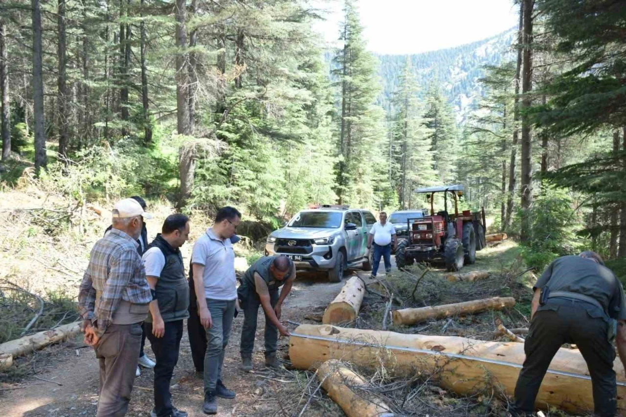 Kahramanmaraş&rsquo;ta yangın riskine karşı yol kenarlarında temizlik ve bakım
