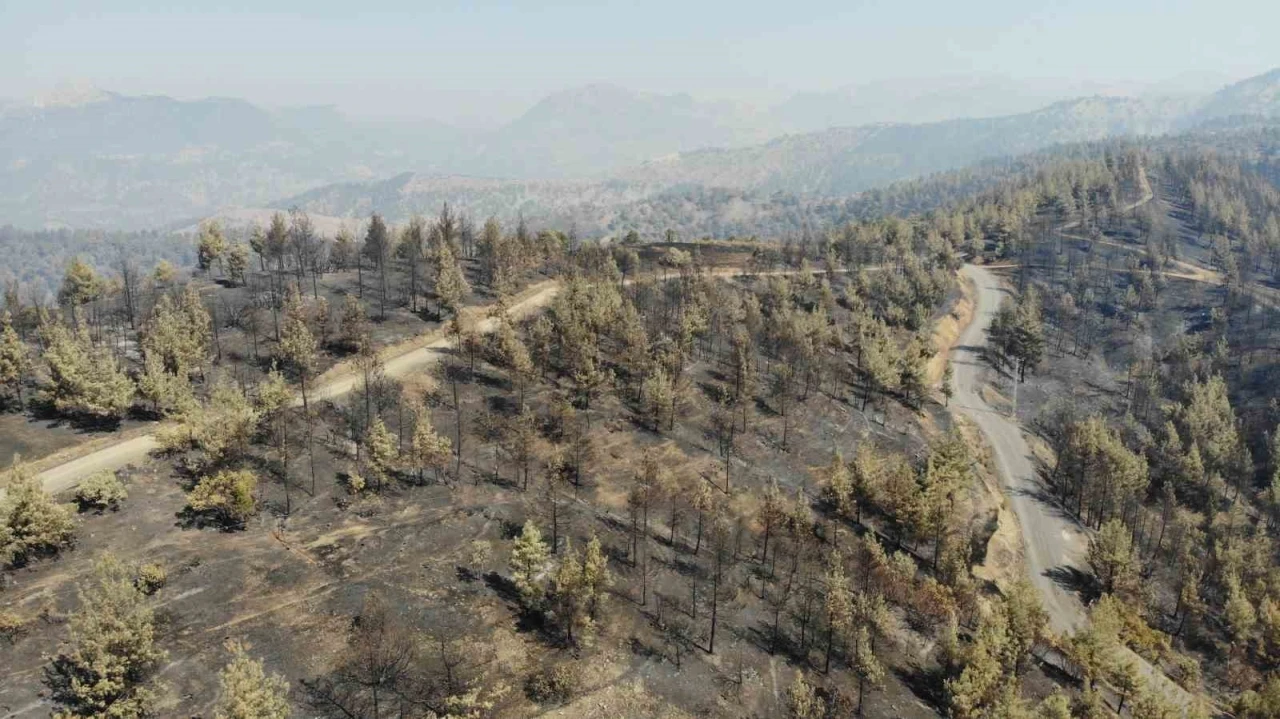 Kahramanmaraş’ta yangın sonrası küle dönen ormanlık alan dronla görüntülendi
