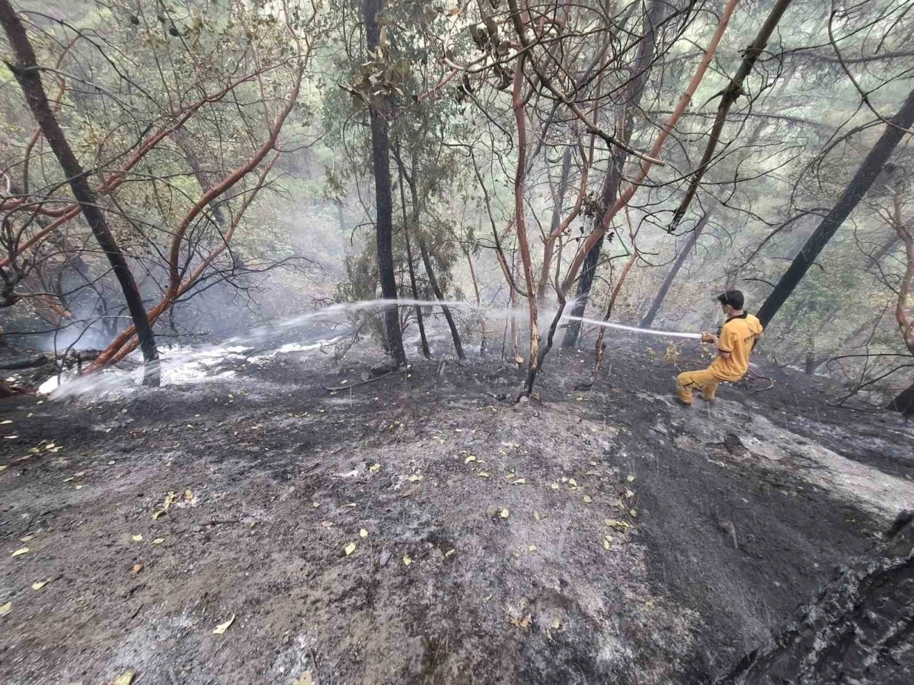 Kahramanmaraş’taki orman yangını kontrol altına alındı: 5,5 hektar zarar gördü
