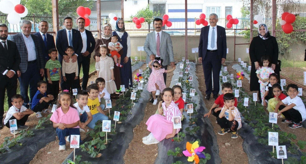 Kahta’da miniklerden çilek hasadı
