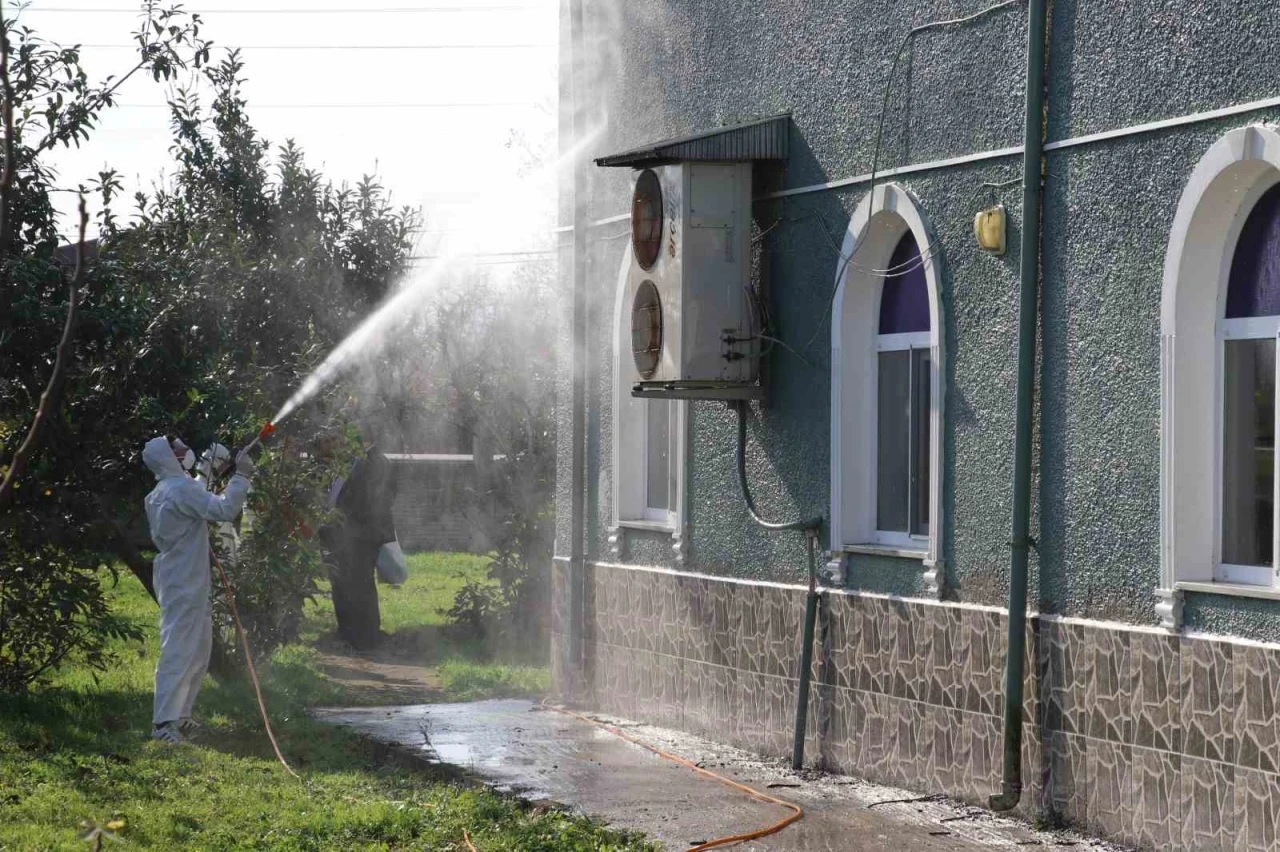 Kahverengi kokarca ile mücadele: 850 hane, 23 kamu alanı ve 623 ahır ilaçlandı

