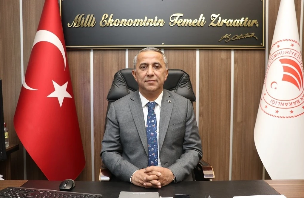 Kahverengi kokarcada mücadele zamanı
