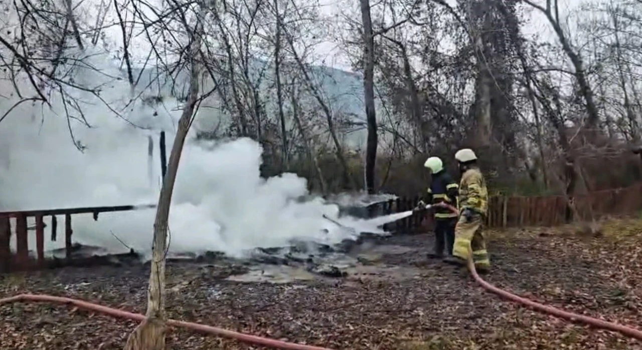 Kamelya yangında k&uuml;le d&ouml;nd&uuml;

