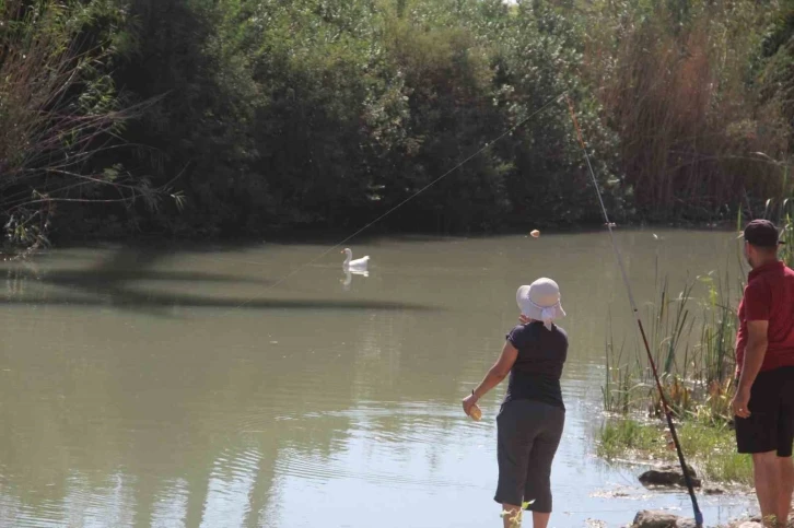 Kamışlık alanda mahsur kalan yaralı &ouml;rdek, itfaiyeyi alarma ge&ccedil;irdi
