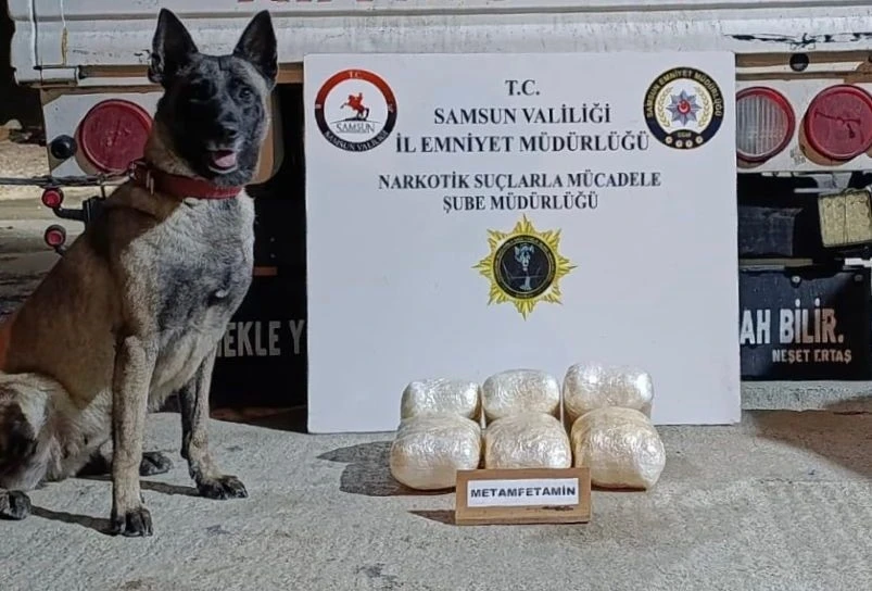 Kamyonete gizlenmiş uyuşturucuyu dedektör köpeği buldu: 4 kilo uyuşturucu ve 4 bin adet hap ele geçti