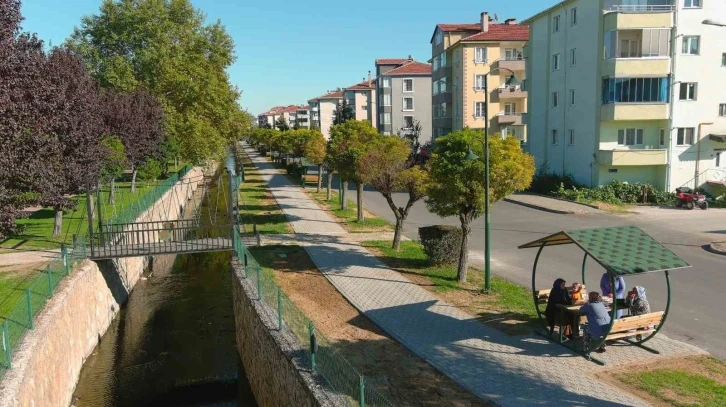 Kanal boyuna yeni y&uuml;r&uuml;y&uuml;ş yolu ve kamelyalar
