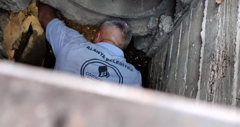 Kanalizasyona d&uuml;şen kedi belediye ekiplerince kurtarıldı
