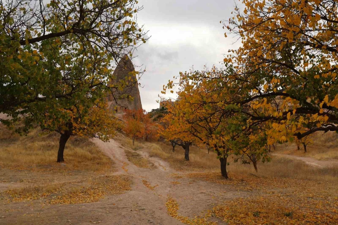 Kapadokya’daki renk cümbüşü dron ile görüntülendi

