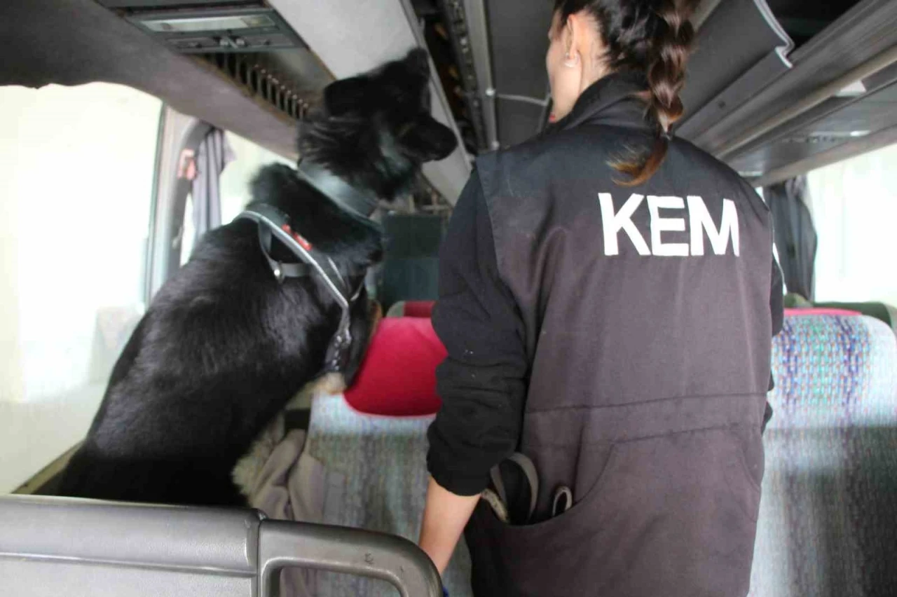 Kapıkule’de 77 kilo ecstacy ele geçirildi
