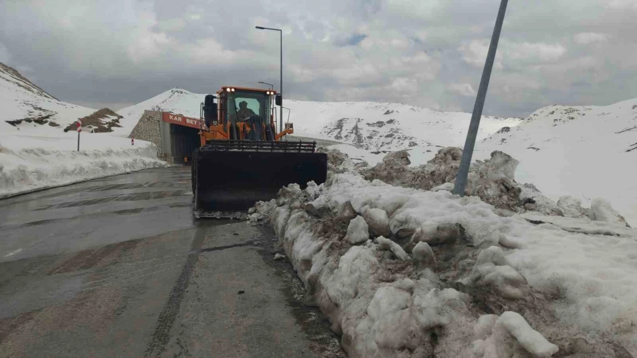 Kar kaplanları Nisan ayında da görevinin başında
