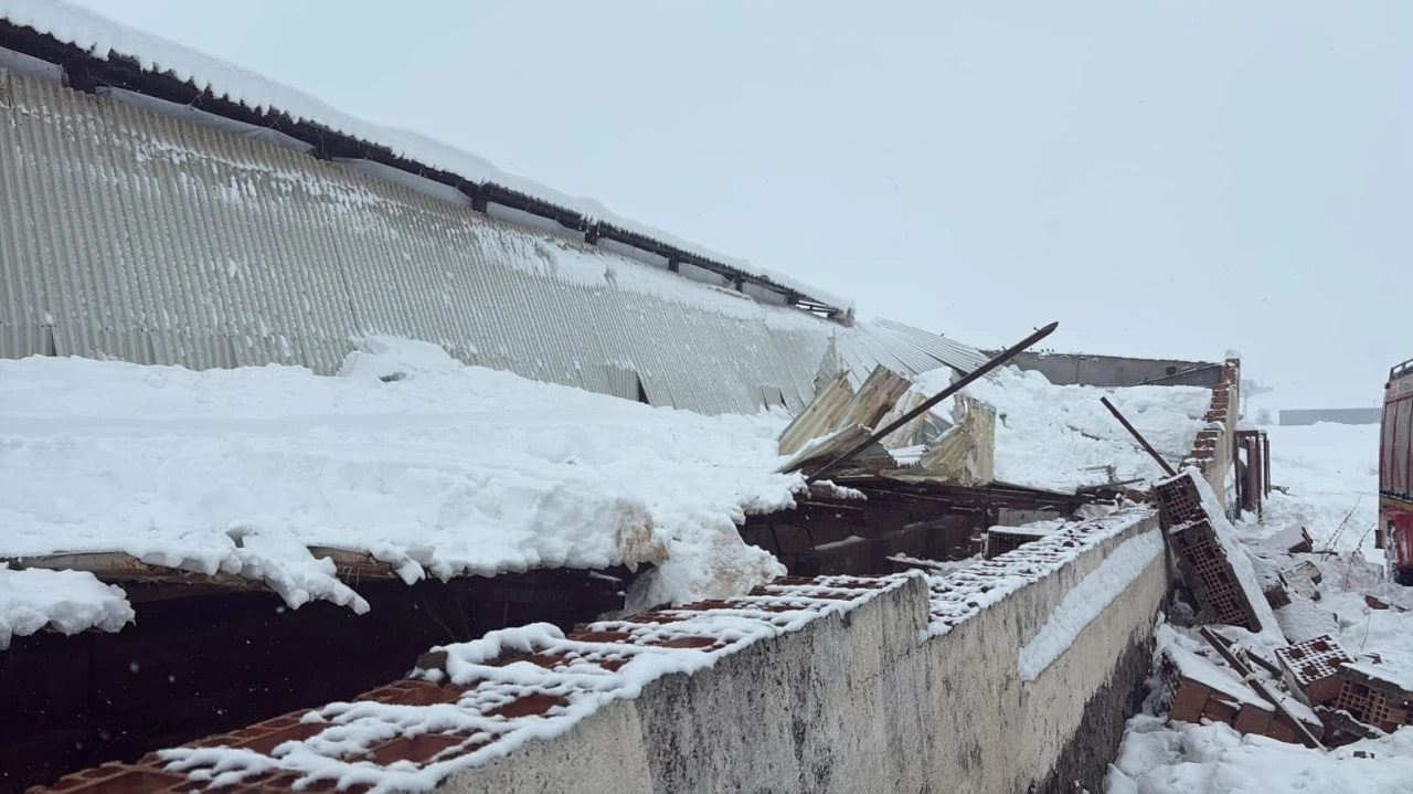 Kar nedeni ile ahırın &ccedil;atısı &ccedil;&ouml;kt&uuml;, 11 hayvan telef oldu
