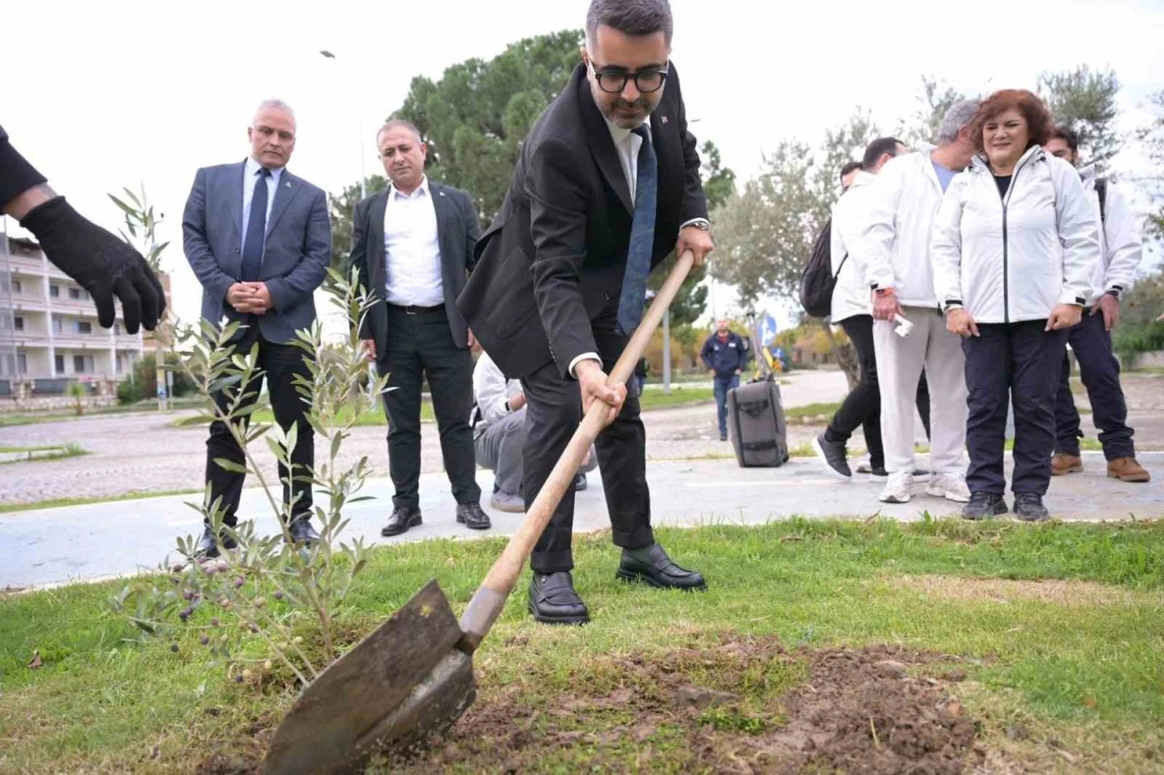 Kar Spor İda Ultra öncesinde zeytin fidanları toprakla buluştu
