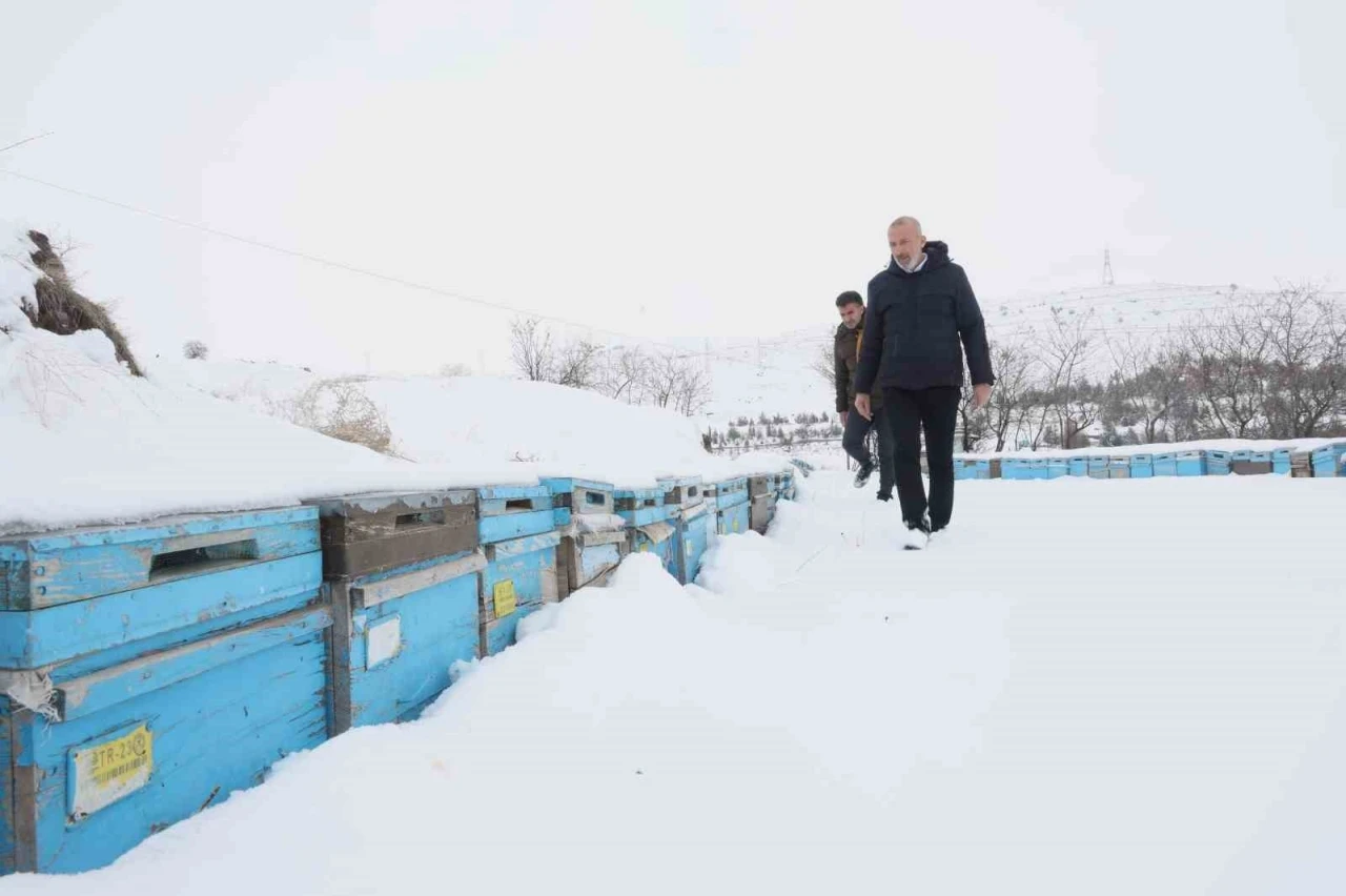 Kar yağışı, koloni kayıplarını ve hastalıkları minimuma indirdi: Arıcılar sezonundan &uuml;mitli
