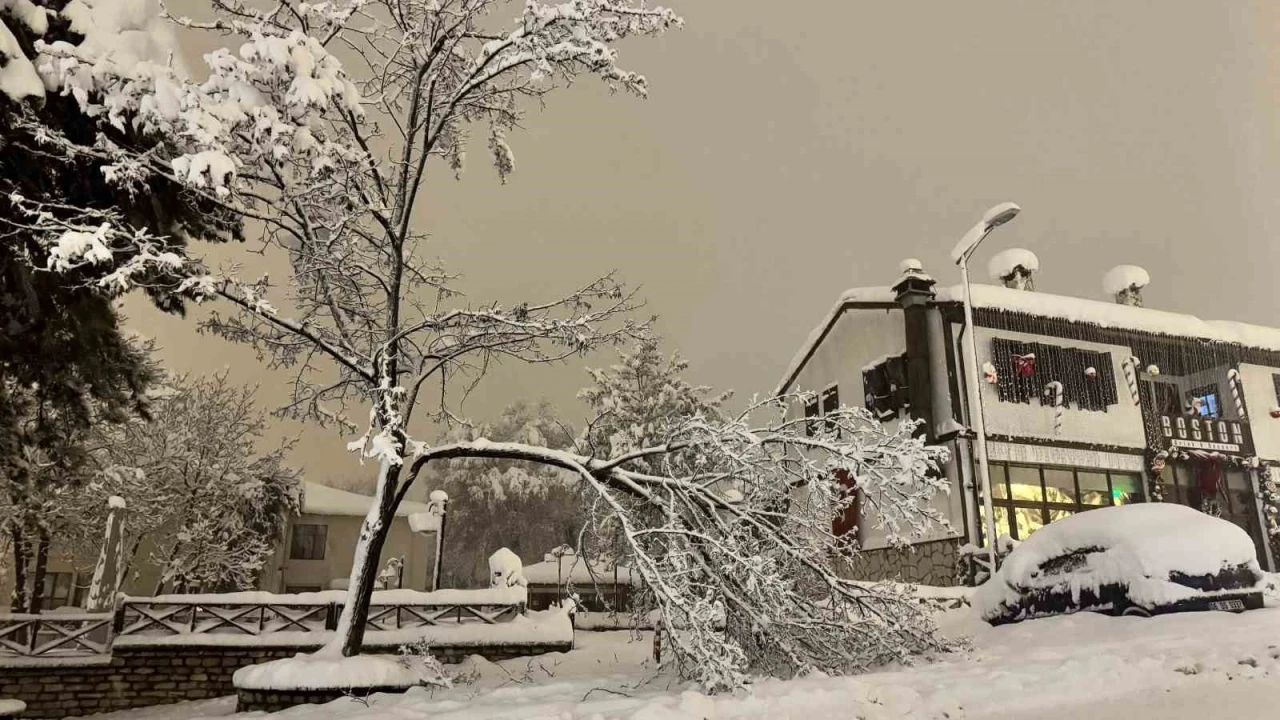 Karab&uuml;k&rsquo;te kar ağırlığına dayanamayan &ccedil;ok sayıda ağacın dalların kırıldı
