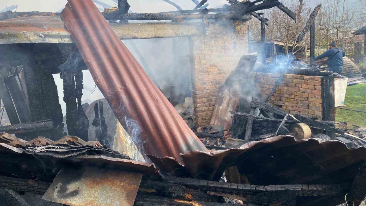 Karab&uuml;k&rsquo;te m&uuml;ştemilat yangını: 2 k&ouml;pek yavrusu telef oldu
