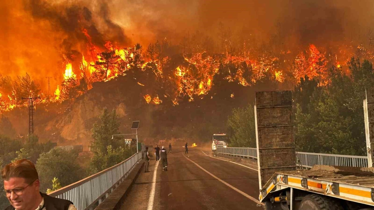 Karabük’te orman yangınında korkutan manzaralar
