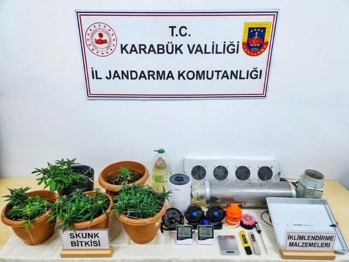 Karab&uuml;k&rsquo;te uyuşturucu operasyonu: Skunk serası ortaya &ccedil;ıkarıldı
