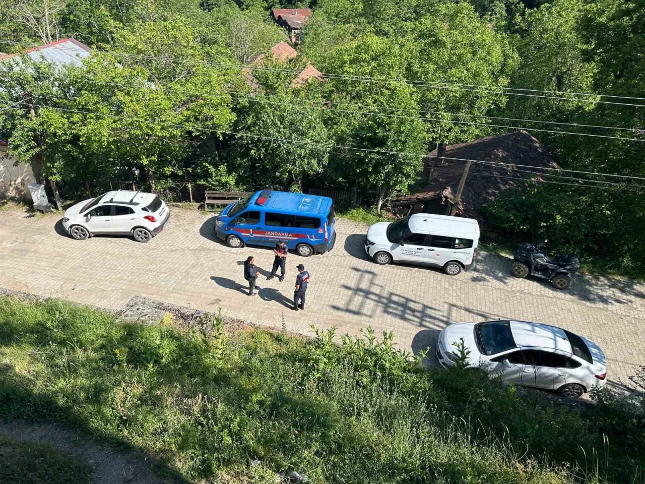 Karabük’teki köpek ölümleriyle ilgili inceleme başlatıldı
