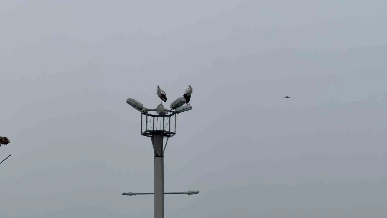 Karab&uuml;k&rsquo;&uuml;n simgesi haline gelen leylek dronla g&ouml;r&uuml;nt&uuml;lendi
