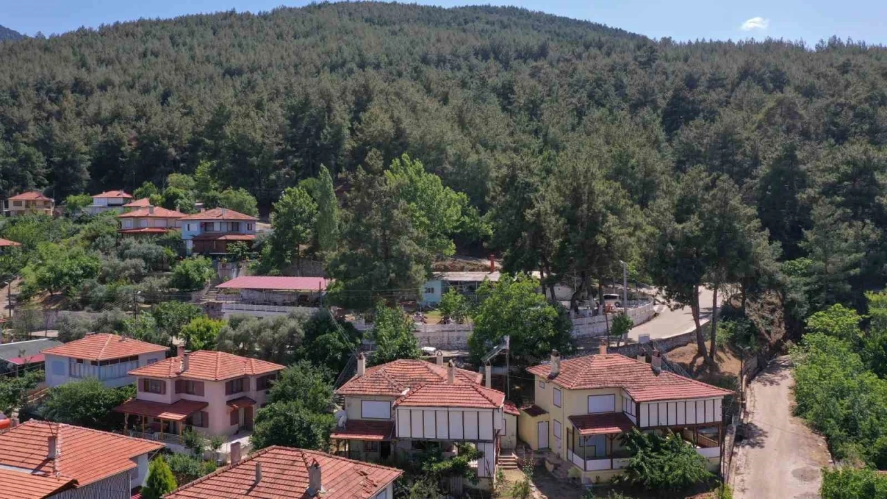 Karacasu Belediyesi’nden yangın uyarısı: &quot;Bir kıvılcım, bir felakete sebep olabilir&quot;
