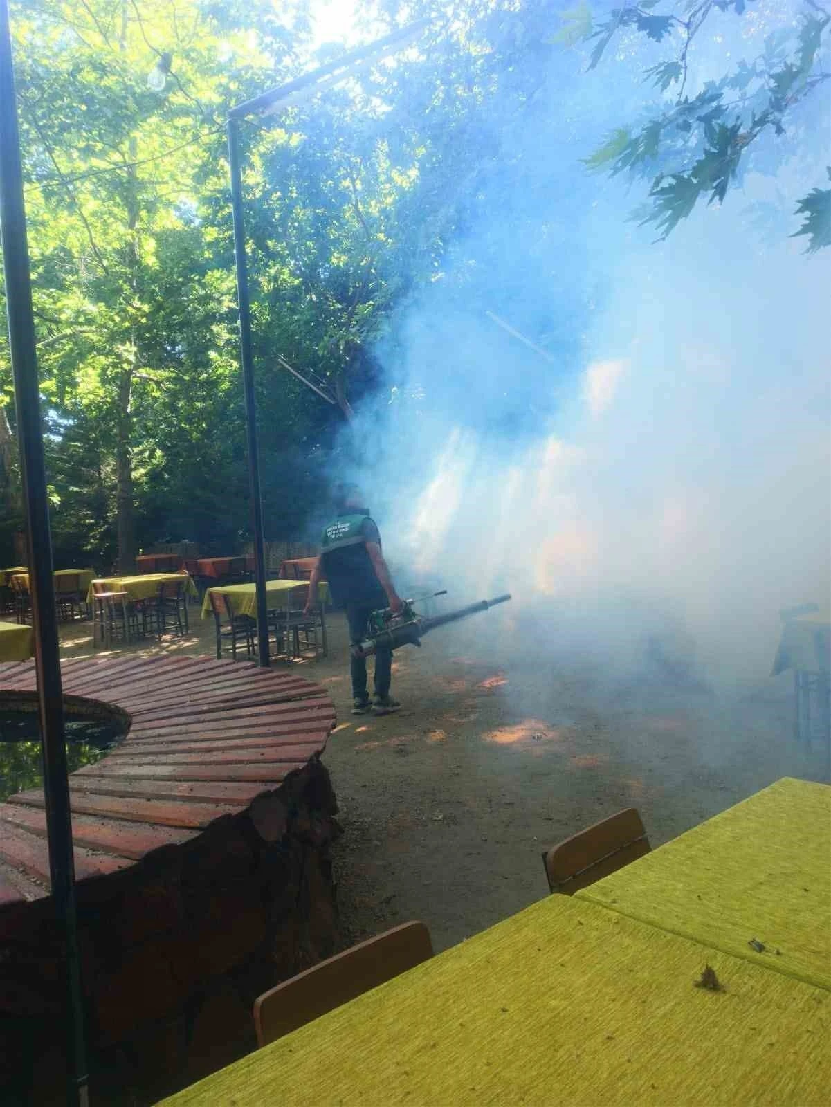 Karacasu’da sinek ve larva ilaçlaması yapıldı
