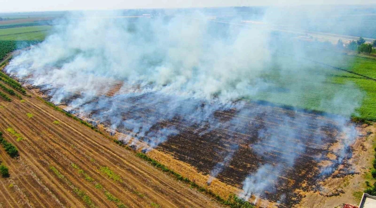 Karacasu Kaymakamlığı’ndan anız uyarısı
