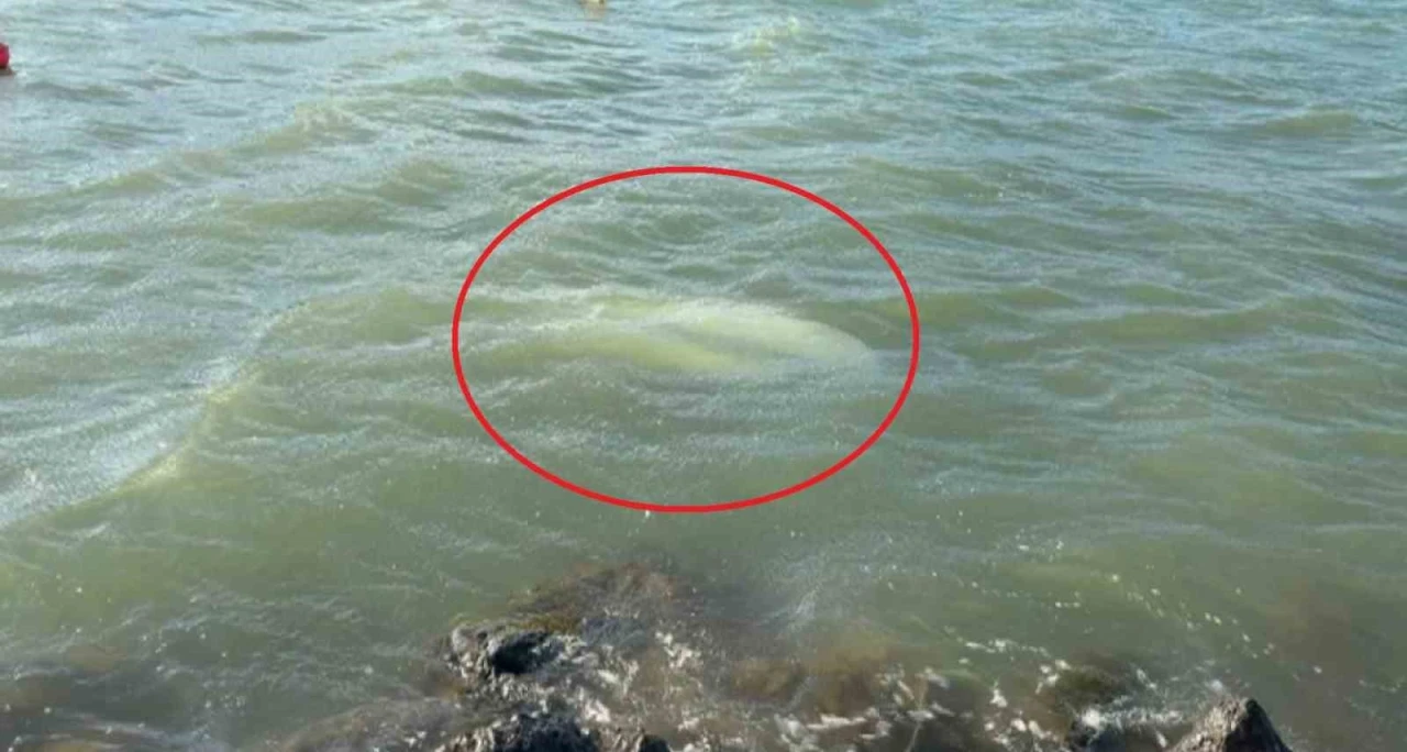 Karadeniz&rsquo;de fırtına: Samsun&rsquo;da 3 tekne battı
