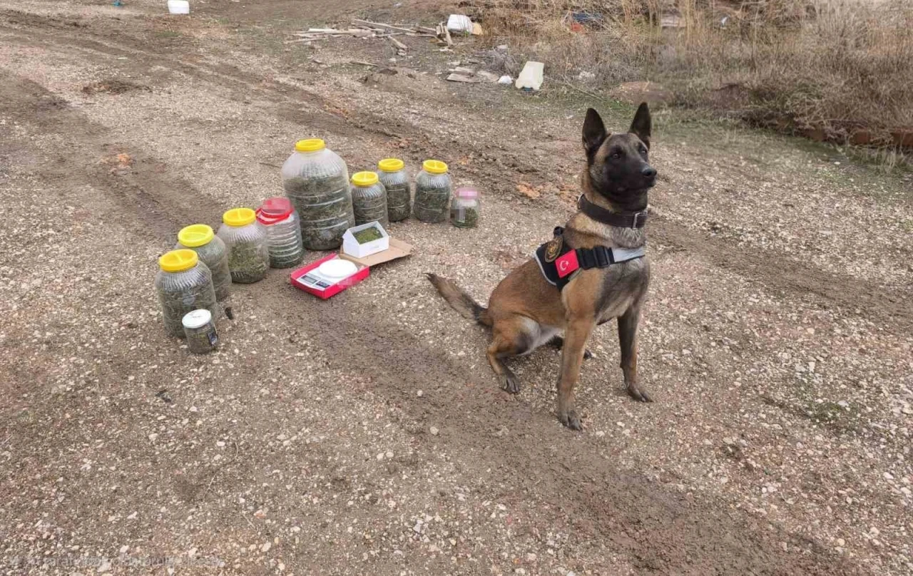 Karaman&rsquo;da uyuşturucu operasyonu: 1 g&ouml;zaltı
