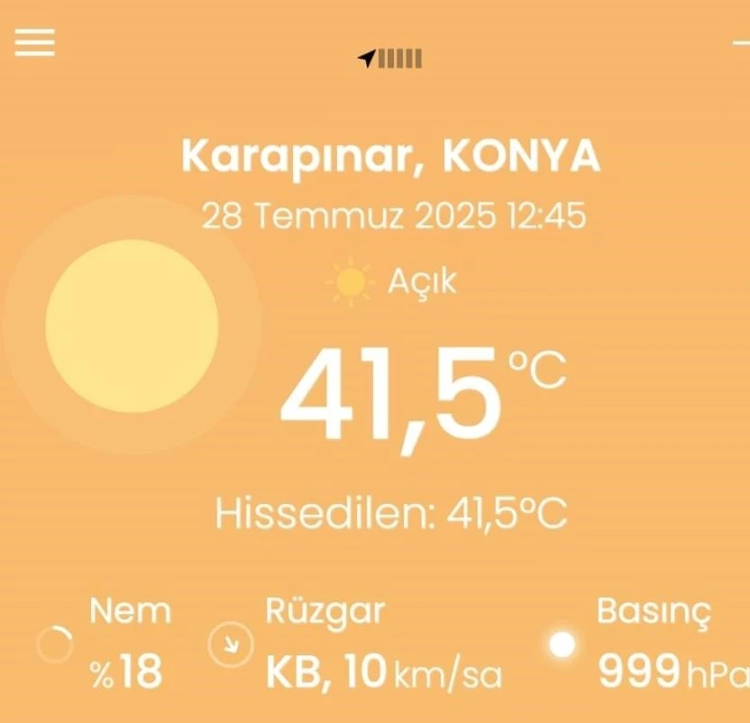 Karapınar’da termometreler 41.5 dereceyi gösterdi
